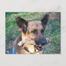 Recherche de furry cartes postales Doux