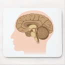 Suche nach menschliches gehirn mousepads Organ
