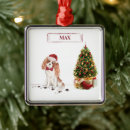 Recherche de cavalier king charles ornements Drôle