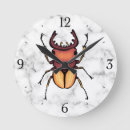 Suche nach beetle poster Entomologie