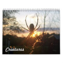 Suche nach marienkäfer kalender Wild lebende tiere