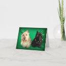 Recherche de carte jour saint patrick Shenanigans