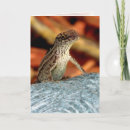 Recherche de lizzard vœux cartes Lizard