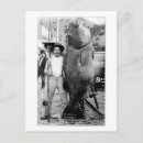 Suche nach lustiger fischer postkarten Fischen