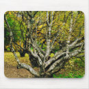 Suche nach birke mousepads Holz