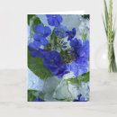 Suche nach phlox karten Blüte