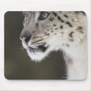 Recherche de concentration tapis souris Contemplation
