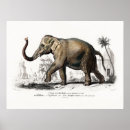 Recherche de éléphant asiatique posters L'art des éléphants