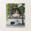 Recherche de funny cat puzzles Cute