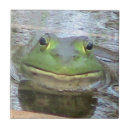 Recherche de grenouille carreaux Nature