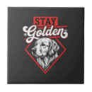 Recherche de chien carreaux Weimaraner