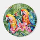Recherche de plantes vertes magnets Feuillage
