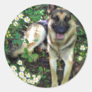 Suche nach schäferhund aufkleber Tiere
