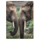 Recherche de éléphant porte blocs Faune