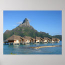 Suche nach tahiti poster Bungalow