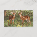 Recherche de jumeau cartes visite Nature