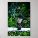 Suche nach farne poster Fotografie