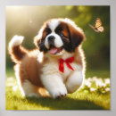 Suche nach saint bernard poster Hunde