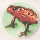 Recherche de grenouille dessous de verres Nature