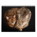 Suche nach lustige katzen kalender Fotos