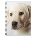 Suche nach welpe kleine notizbücher Portrait