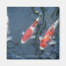 Suche nach karpfen magnete Teich