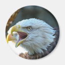 Suche nach tiermagnet Fotografie