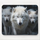 Suche nach wölfe mousepads Portrait