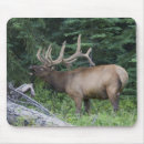 Suche nach gegner mousepads Elch