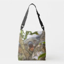 Recherche de koala sacs Marsupial
