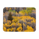 Recherche de danita delimont magnets Fall