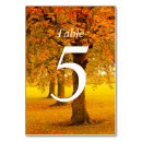 Suche nach nummerierter tisch tischkarten Modern