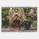 Suche nach yorkshire decken Hund