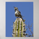 Recherche de chanteur posters Photographie