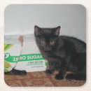 Suche nach wütend untersetzer Katze