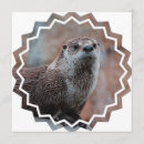 Recherche de loutre invitations Loutre de mer