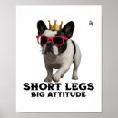 Suche nach hundeliebhaber poster Wolf