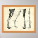 Recherche de canne vintage posters Illustration