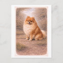 Recherche de pomeranians cartes postales Chien