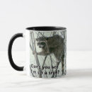 Recherche de bandit tasses Raton laveur