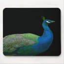 Recherche de paon tapis souris Bleu