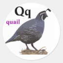 Recherche de q autocollants Pour enfants