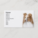 Recherche de colley cartes visite Border collie