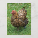 Suche nach gesprenkelte postkarten Natur