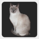 Suche nach siamesische katze aufkleber Haustiere
