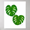 Suche nach philodendron poster Botanisch