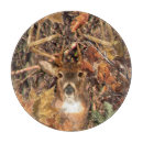 Suche nach weißer schwanz untersetzer Natur