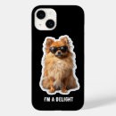 Recherche de de chien pomeranian Amusant