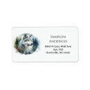 Suche nach grauwolf Natur