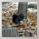 Recherche de automne posters Maison